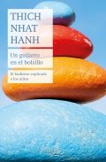 Descargar  Un guijarro en el bolsillo de Thich Nhat Hanh en EPUB | PDF | MOBI