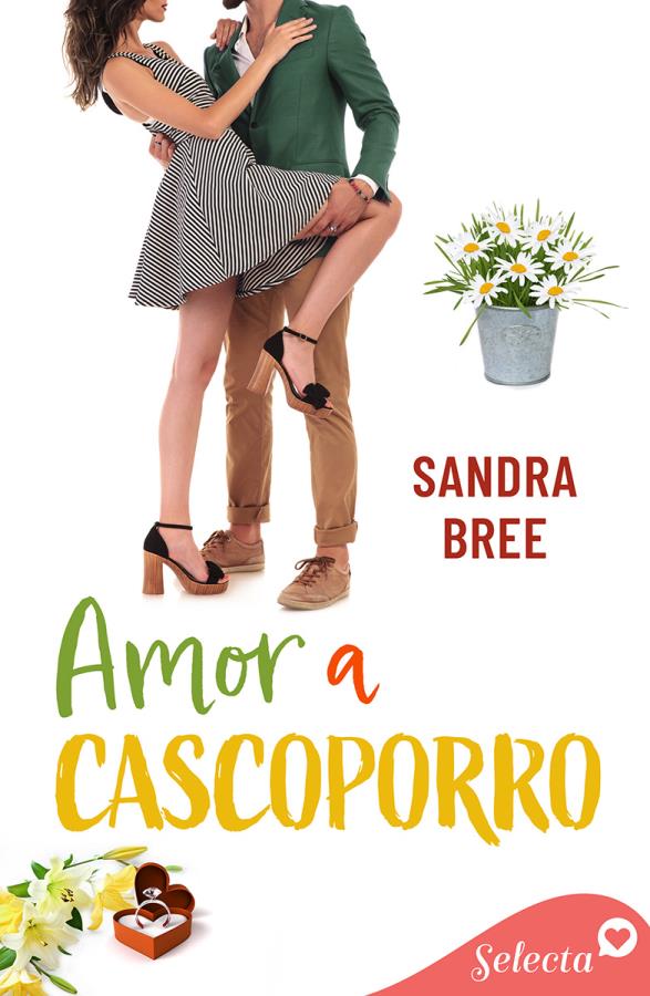 Descargar Amor a cascoporro – Sandra Bree  
				 en EPUB | PDF | MOBI