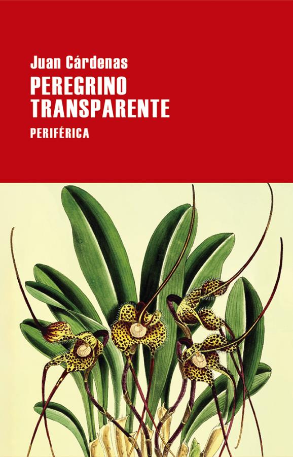 Descargar Peregrino transparente – Juan Cardenas  
				 en EPUB | PDF | MOBI