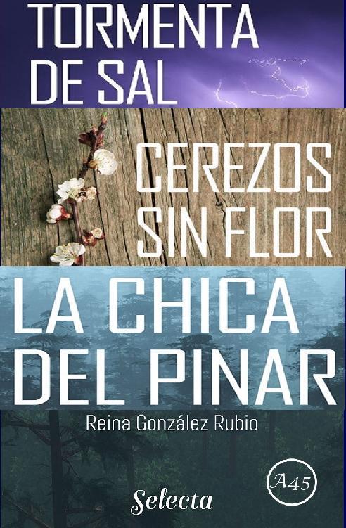 Descargar Trilogía Misterios en La Bureba – Reina González Rubio  
				 en EPUB | PDF | MOBI